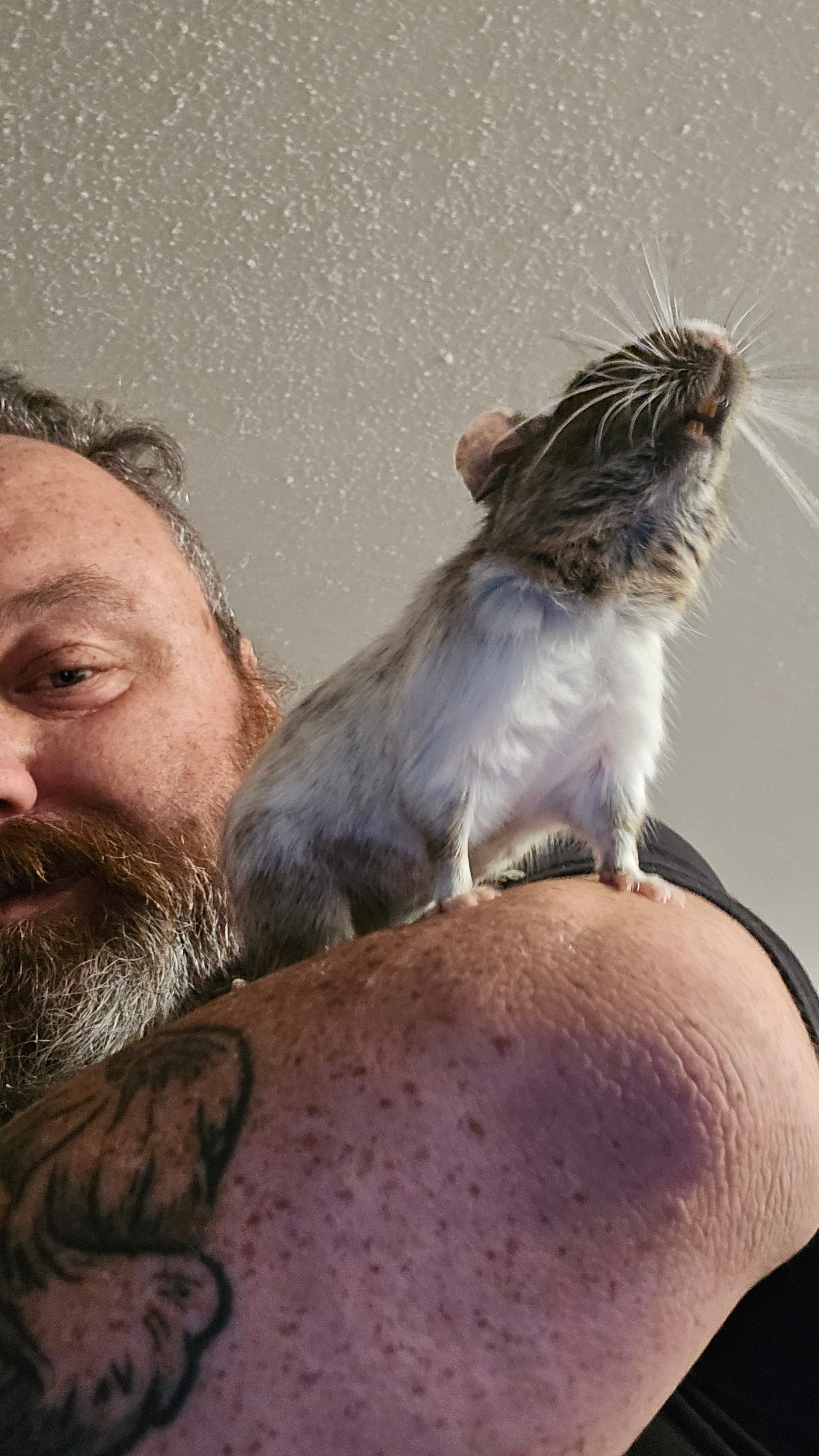 A visit from Willow