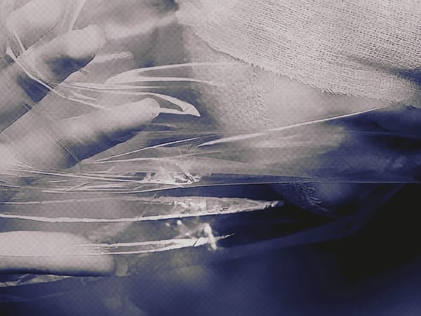 Image of: Bride: an except