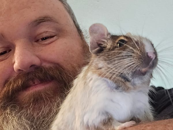 Image of: A visit from Willow