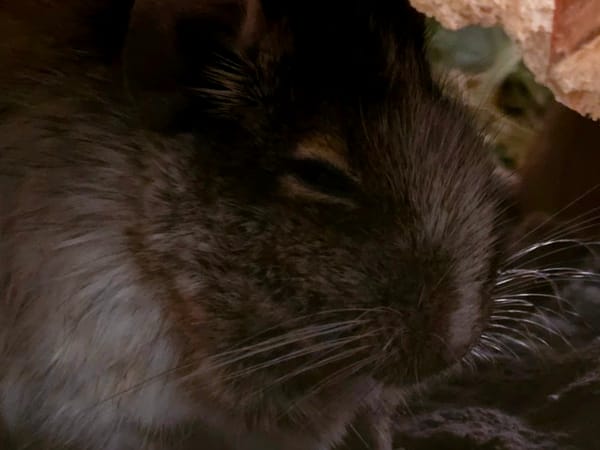 Image of: Another Update