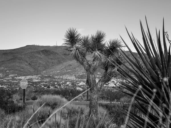 Image of: Reelin' in the Years