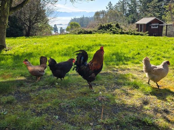 Image of: Life stuff